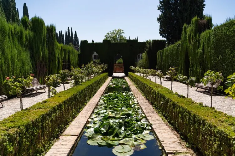 9_11zon.webp